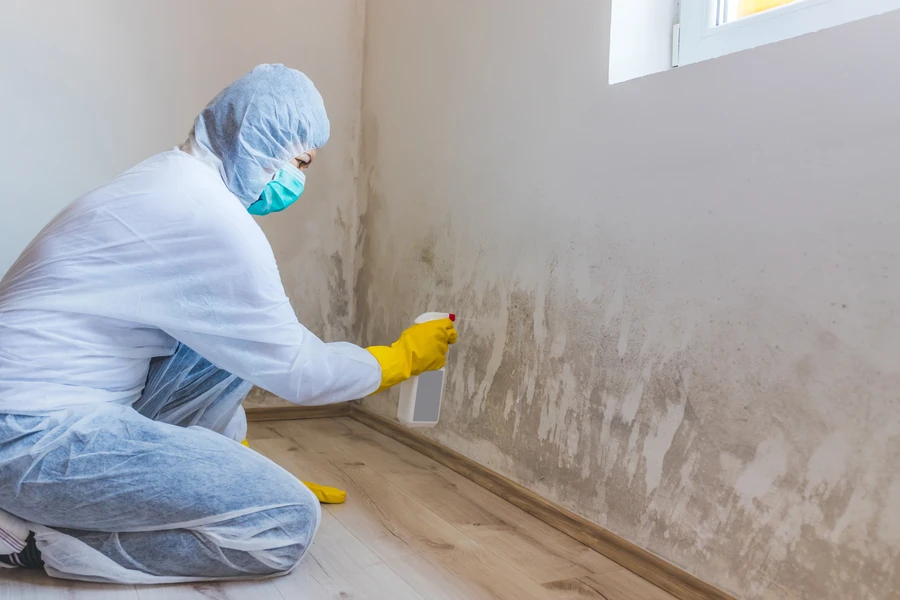Local Mold Remediation Baltimore, MD Local Mold Remediation Baltimore, MD